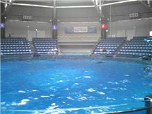品川の新しい水族館
