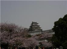 どこもかしこも砂だらけ・・・