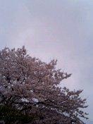 おはようぅ～(&#180;ﾍ｀;)