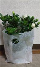 素敵ないただきもの 素敵ないただきもの