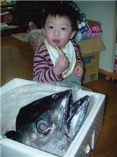 ど～すんだこれ？