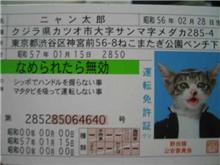 なめねこカードガム