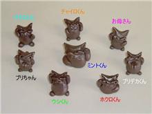 おぉぉぉミニミニねこちゃん登場