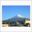 5月5日静岡に一緒に行きませ ...