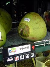 驚！ 初めて見ました！