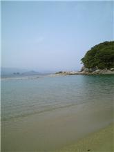やっと帰ってきました(ﾟ～ﾟ;)