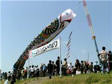 全長100mの巨大こいのぼり