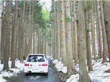 花粉を訪ねて3千里。