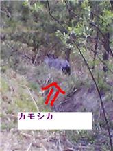 超ビックリ！！　