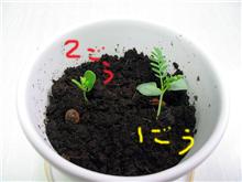 ５がつ７にち。
