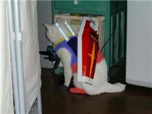 就職活動・・・