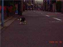 雷とヒョウに注意＼(゜ロ＼)(／ロ゜)／