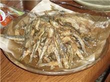 今日の獲物 今日の獲物