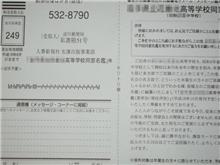 騙されるもんか！