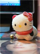 かわいいー・・・イヤかわいくないキティー。。。 