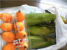 いただきもの（　＾▽＾） 
