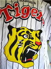 鳥谷！君はＭｒ．Ｔｉｇｅｒｓだ！！