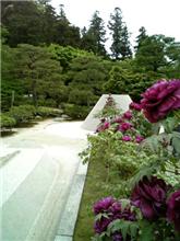 京都にて 