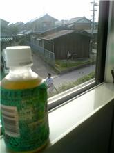 今日は出張でつД`)