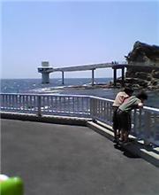 ただ今 秘密基地に