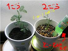 ６がつ１２にち。