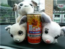 今日のいっぱいコーシー