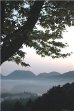 箱根路の朝