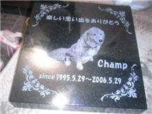 実は・・・