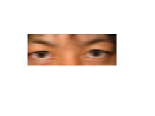 試しにやってみようかな？