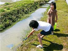 メダカ取り　①