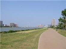 今日は自転車で川沿いをサイクリング。