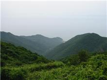 弥彦山、懐かしいワインデングロード。