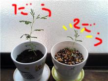 ６がつ２２にち。