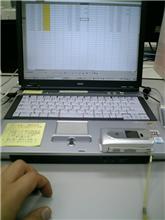 殿は忙しいのぢゃ(つД`)