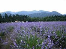 きょうは、秋田へo(ﾟ▽ﾟヽ)(/ﾟ▽ﾟ)o ﾚｯﾂｺﾞｰ♪