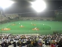 ナイター中止でがっかりです・・