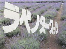 今日は南へ．．．。