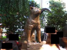 渋谷の待ち合わせ