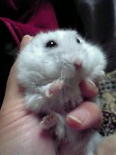 アイちゃん２歳７ヶ月