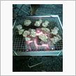今夜は焼肉
