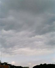 梅雨明け・夏本番 梅雨明け・夏本番