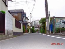 予想どおり…秋(￣▽￣;)!!ガーン