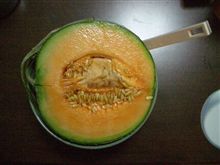 今年もこの季節