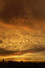 綺麗な夕焼け。