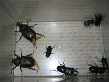 ぼくのなつやすみVol.49　～新規開拓～