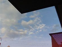週末は・・・ 週末は・・・