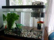 オイル＆フィルター交換して、これをゲット？（わら