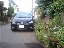 制音化&1日路駐の結果について思うこと 制音化&1日路駐の結果について思うこと