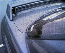 雨上がり・・・・・・