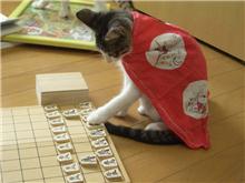 将棋さすにゃぁぁ～
